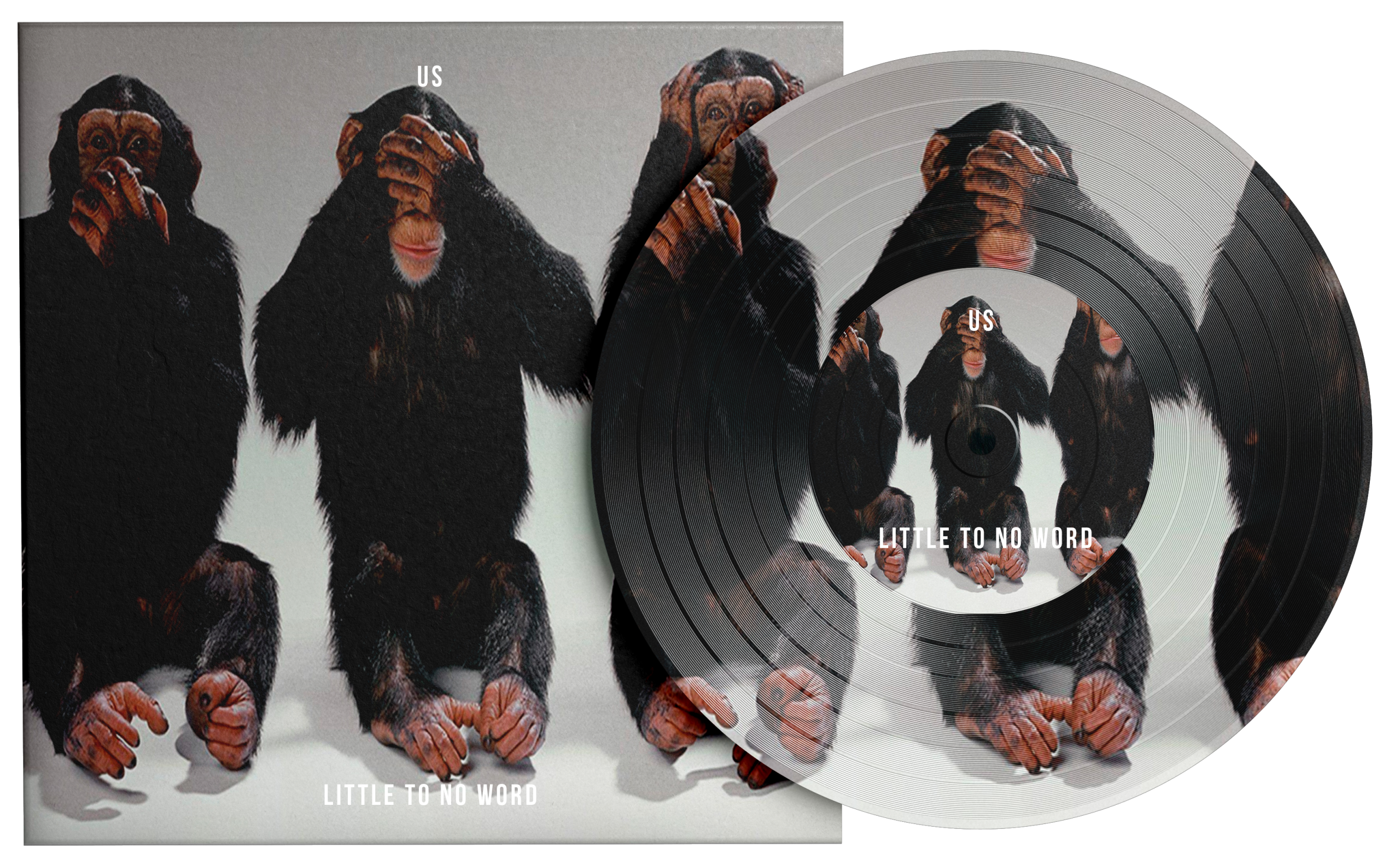 Little To No Word vinyl and sleeve
