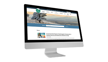 01 Web & SEO Architecture